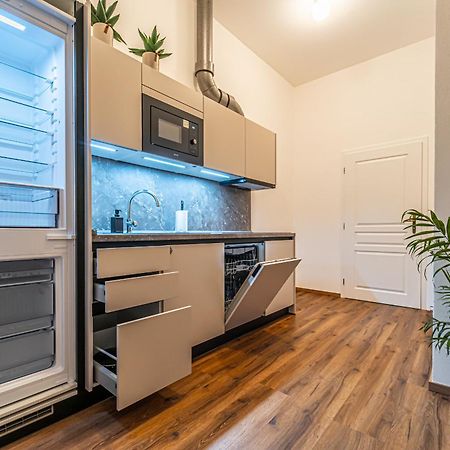 Design Apartments Luzanky ブルノ エクステリア 写真