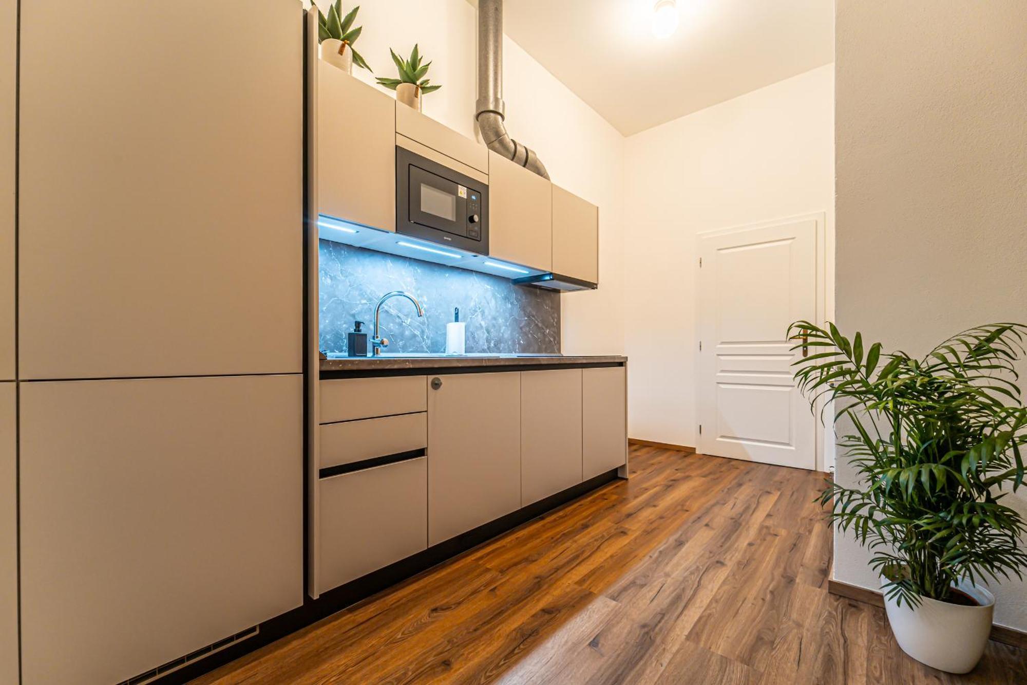 Design Apartments Luzanky ブルノ エクステリア 写真